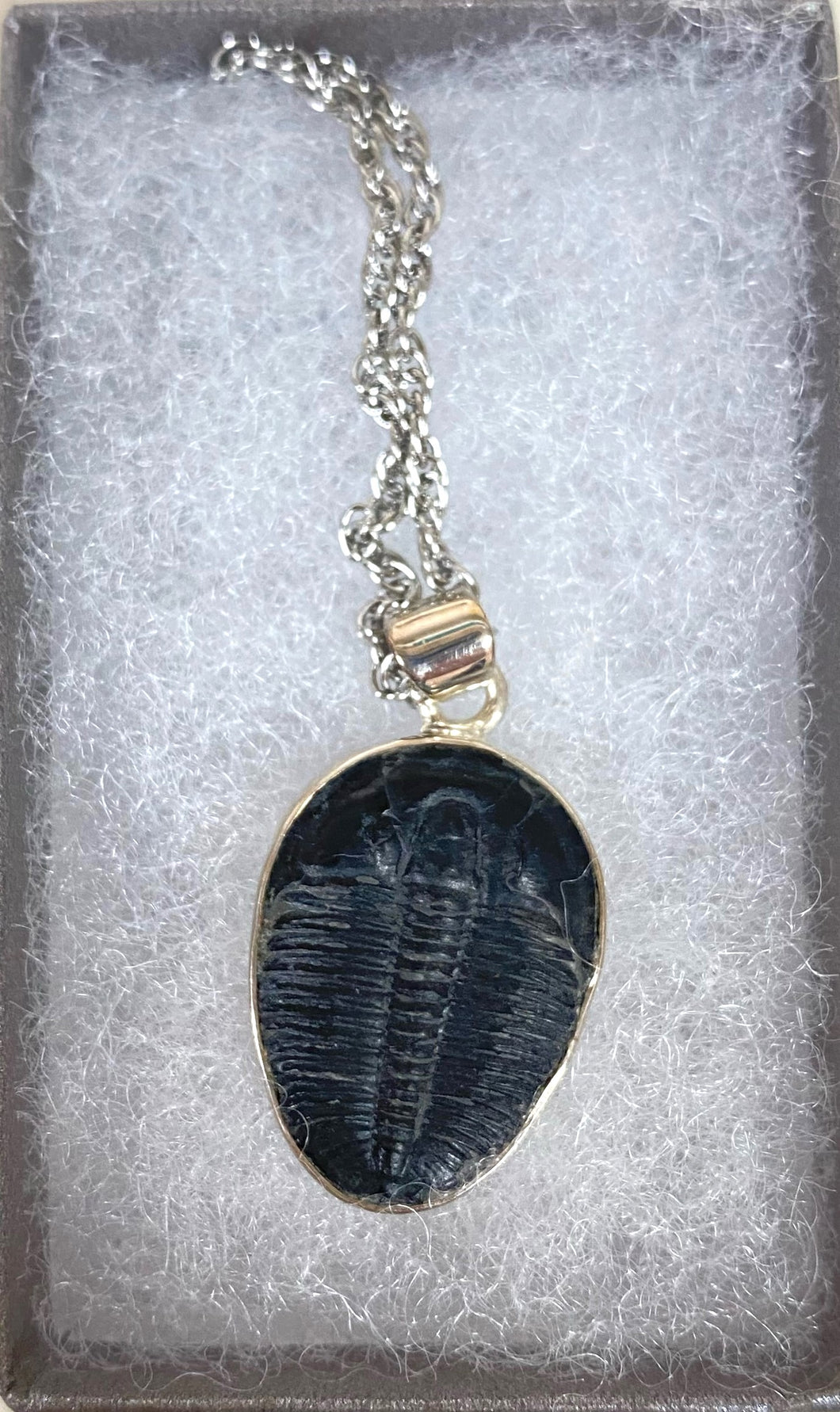 Sterling Silver Trilobite Necklace