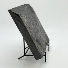 Load image into Gallery viewer, Wheeler shale from Utah west desert with fossilized trilobite.
