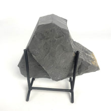 Load image into Gallery viewer, Utah West Desert Wheeler Shale prolific with Middle Cambrian Fossil Trilobites
