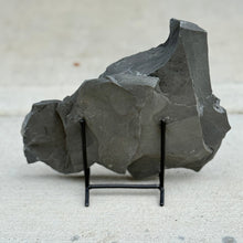 Load image into Gallery viewer, back side of utah cambrian shale on black stand with white background
