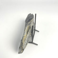 Load image into Gallery viewer, Utah West Desert Wheeler Shale with Middle Cambrian Fossil Trilobite
