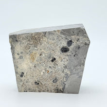 Load image into Gallery viewer, Geological sample with embedded trilobite fossils on a white background
