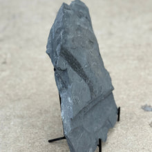 Load image into Gallery viewer, Decorative shale stone slab on a stand against a neutral background 
