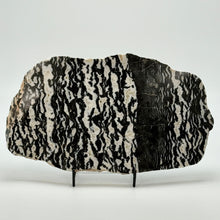 Load image into Gallery viewer, Decorative zebra marble stone with black and white pattern on a stand against a white background
