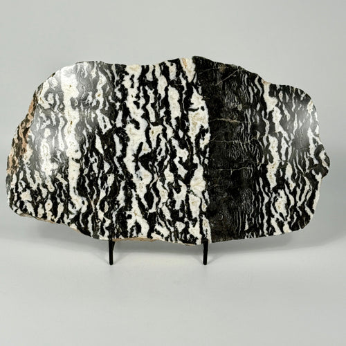 Decorative zebra marble slab with black and white pattern on a gray background