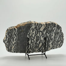 Load image into Gallery viewer, Highly polished zebra marble stone slab on a stand against a white background
