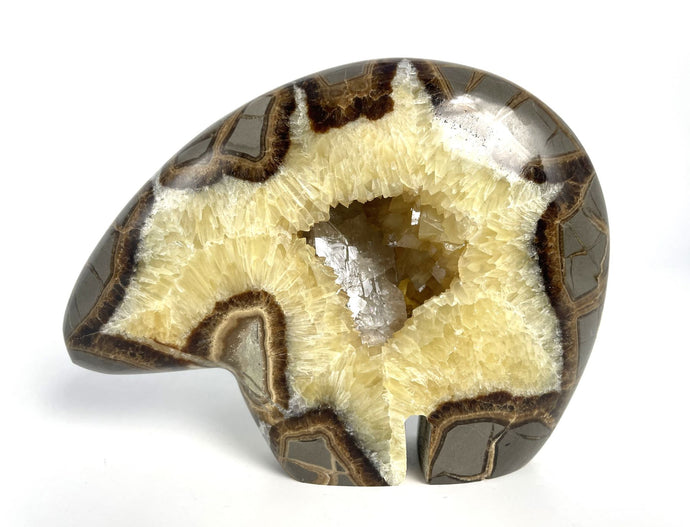 Utah Septarian Geode carved and polished into a zuni bear with a unique barite and calcite crystal interior