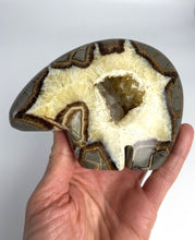 Load image into Gallery viewer, Utah Septarian Geode carved and polished into a zuni bear with a unique barite and calcite crystal interior
