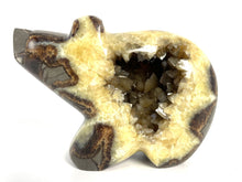 Load image into Gallery viewer,  Septarian geode carved and polished into a long neck bear with beautiful smoky calcite crystals in the center
