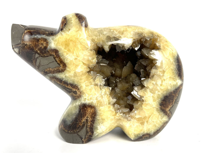  Septarian geode carved and polished into a long neck bear with beautiful smoky calcite crystals in the center