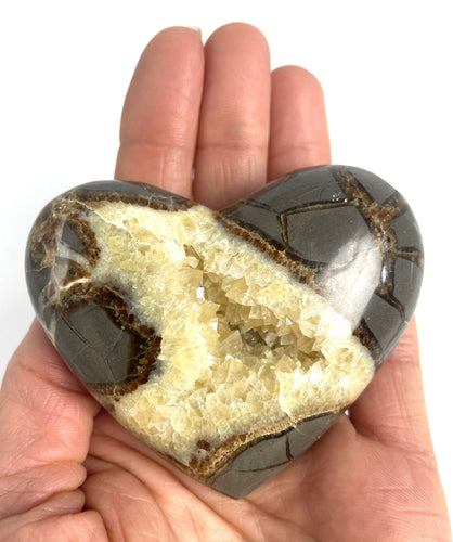 Utah Septarian Geode Heart sculpted and polished from a Septarian geode with a stunning calcite crystal hollow interior