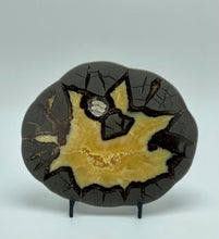 Load image into Gallery viewer, Utah Septarian Slab with Calcite Crystal Hollow and Fossil Imprint 6&quot;
