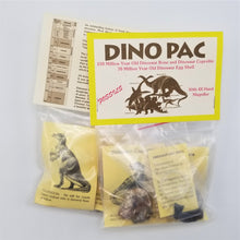Load image into Gallery viewer, Dino Pac - Dinosaur Bone, Coprolite, Egg Shell
