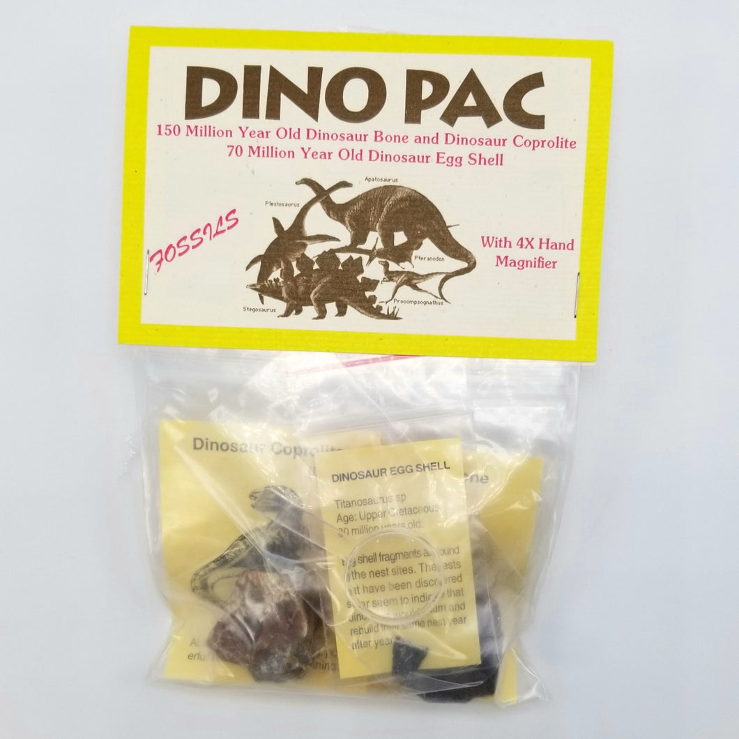 Dino Pac - Dinosaur Bone, Coprolite, Egg Shell