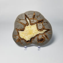 Load image into Gallery viewer, Utah Septarian Slab 5.5-6&quot;

