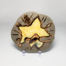 Load image into Gallery viewer, Utah Septarian Slab 5-5.5&quot;
