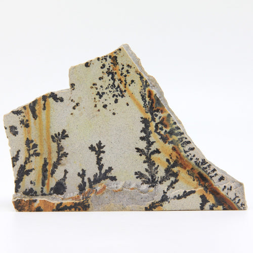 Dendrite Picture Stone