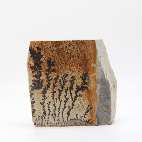 Dendrite Picture Stone