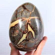 Load image into Gallery viewer, Septarian Egg with a large Hollow Cavity filled with Calcite Crystals

