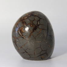 Load image into Gallery viewer, Septarian geode hand free-formed and shaped into a beautiful polished Septarian Standup filled with Sparkly Calcite Crystals
