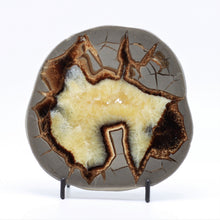 Load image into Gallery viewer, Utah Septarian Slab with Calcite Crystal Hollow 5-5.5&quot;

