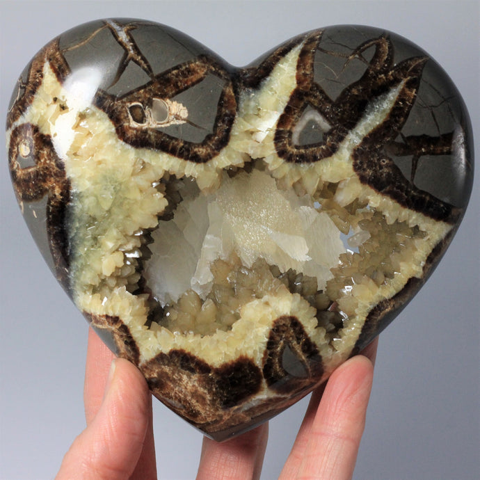 Utah Septarian Geode Heart sculpted and polished from a Septarian geode with a stunning calcite crystal hollow interior