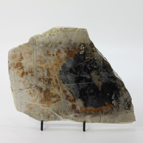 Picasso Slab Polished