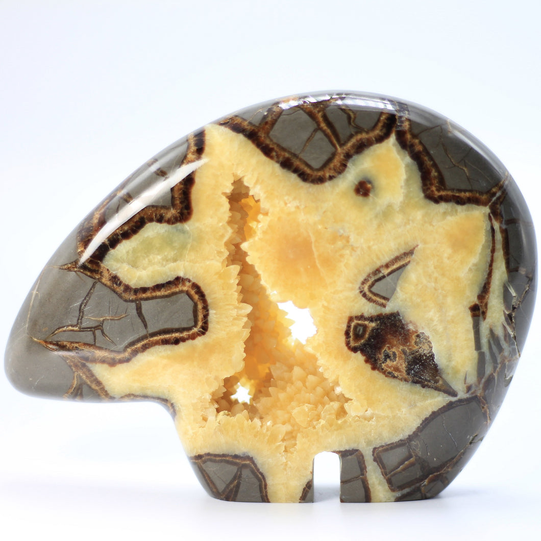 Septarian Bear Zuni style sculpted from a Septarian Geode mined in Utah