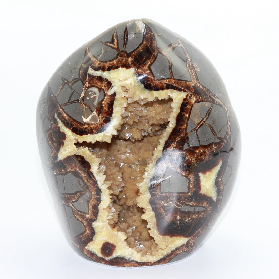 Tall Septarian Standup with deep Beveled Edges