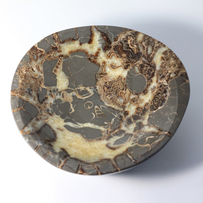Septarian Bowl with fossil remnant cross sections