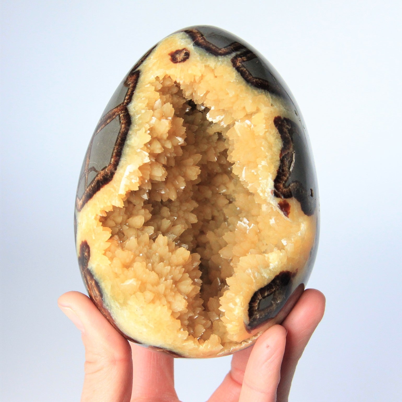 Beautiful Septarian Egg Geode Polished Natural Stone For Home