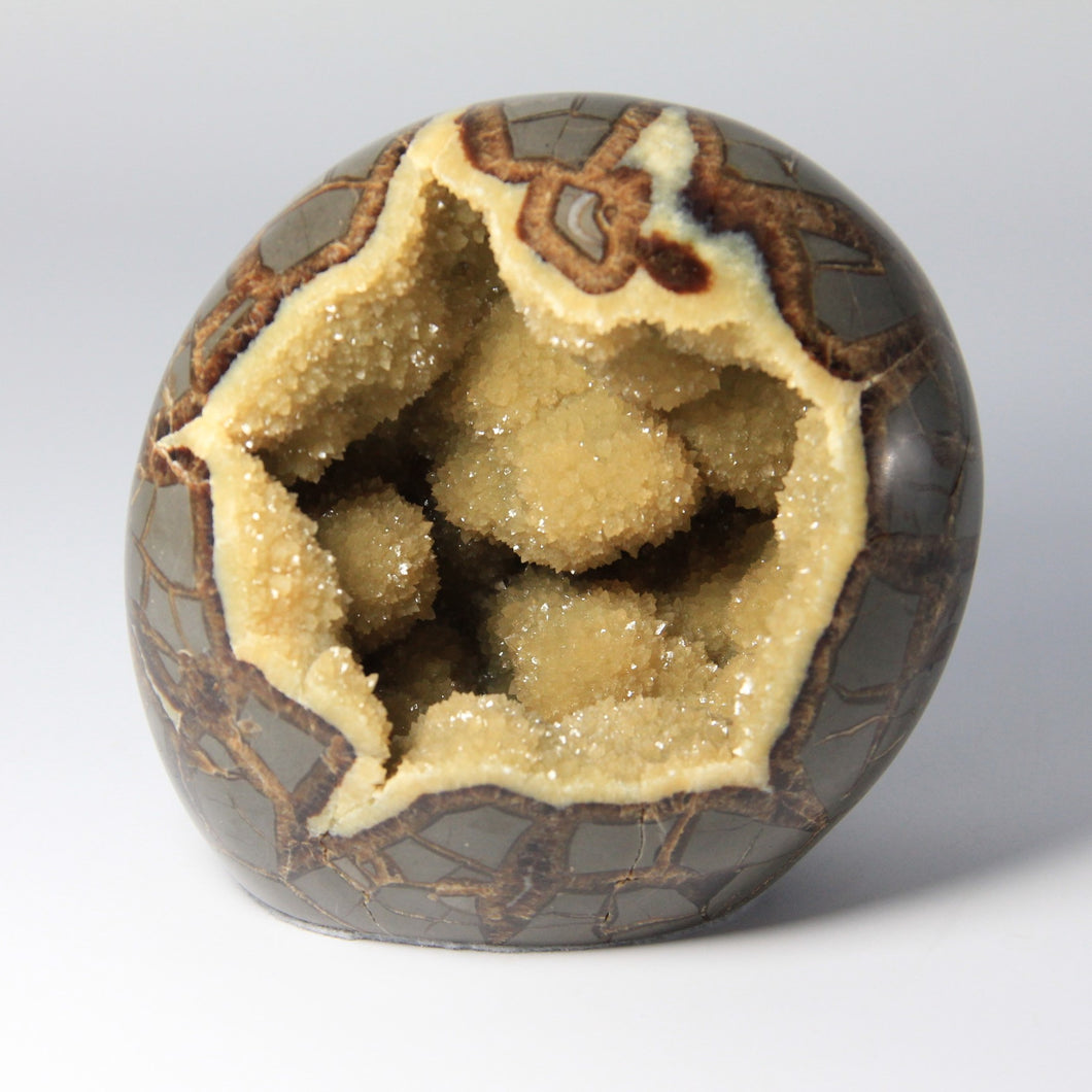 Septarian geode hand free-formed and shaped into a beautiful polished Septarian Standup filled with Sparkly Calcite Crystals