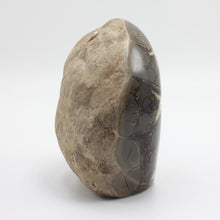 Load image into Gallery viewer, Side view of a tall Septarian Standup with deep Beveled Edges
