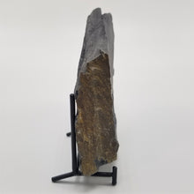 Load image into Gallery viewer, Side view of Shale from the Cambrian Period
